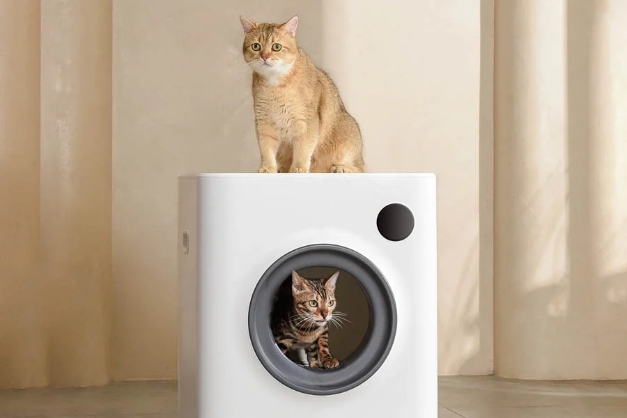 kitty robot litter